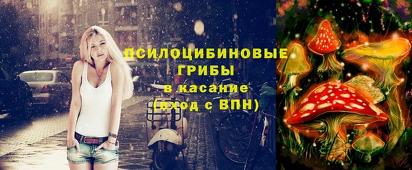 PSILOCYBIN Богородицк