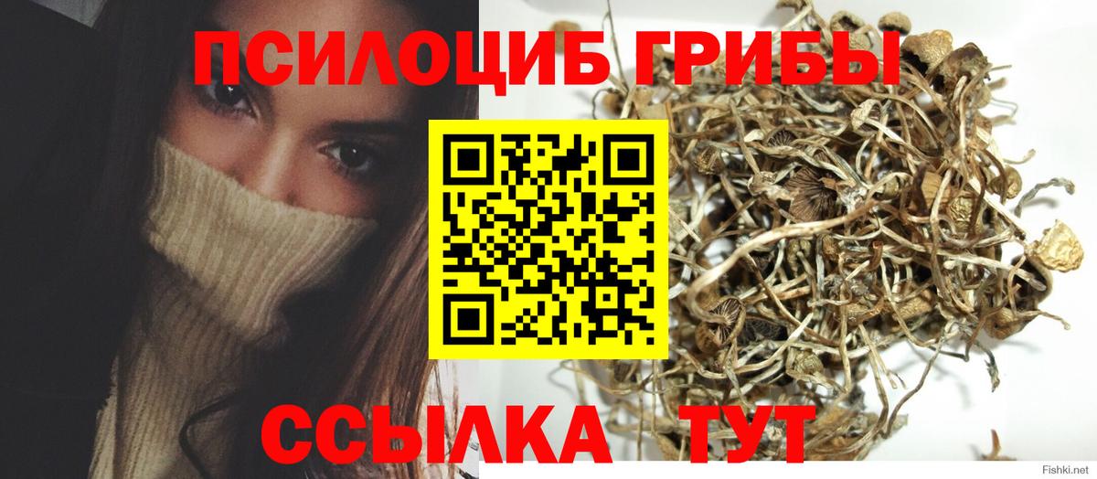 Верхняя Пышма  Псилоцибиновые грибы Psilocybe  наркотики  Вход с VPN 