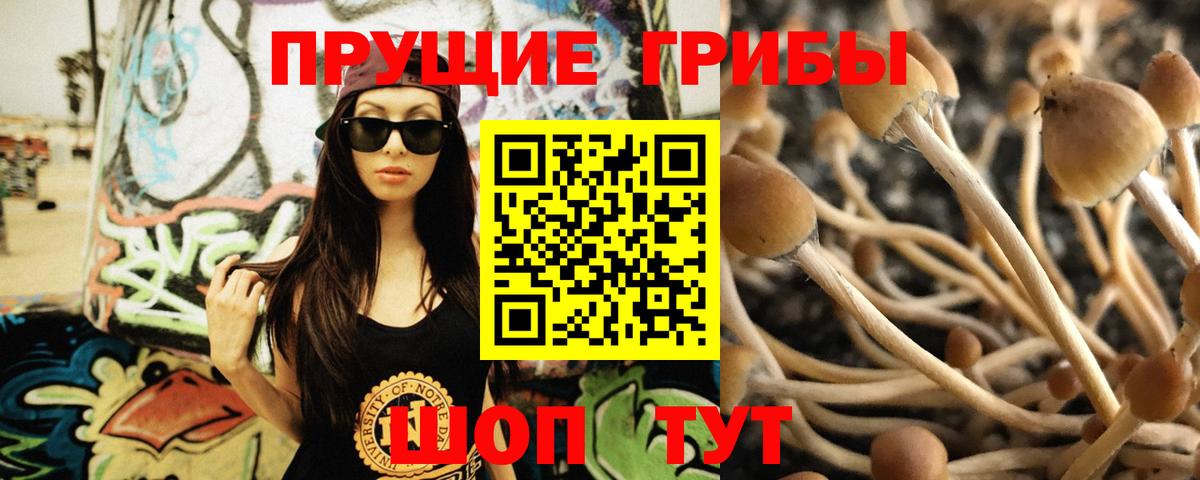 Галлюциногенные грибы GOLDEN TEACHER Верхняя Пышма